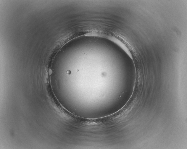 X0000116310453200911301506