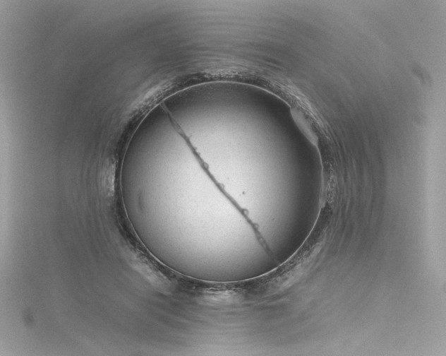 X0000116310454200911301506