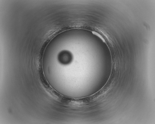 X0000116310455200911301506