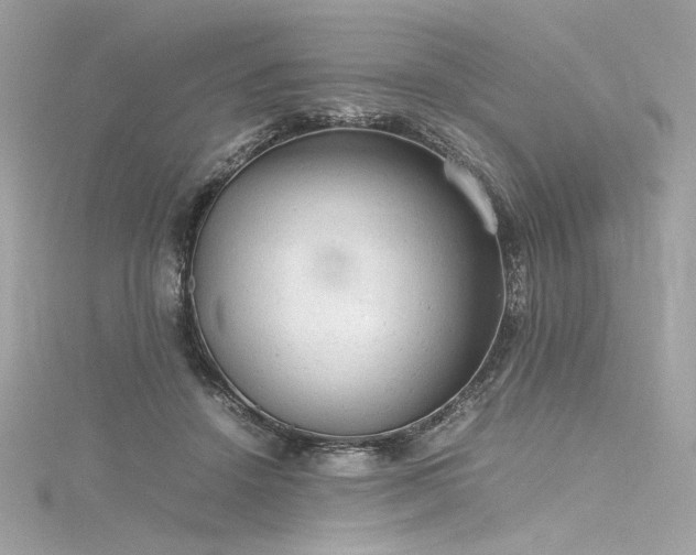 X0000116310456200911301506