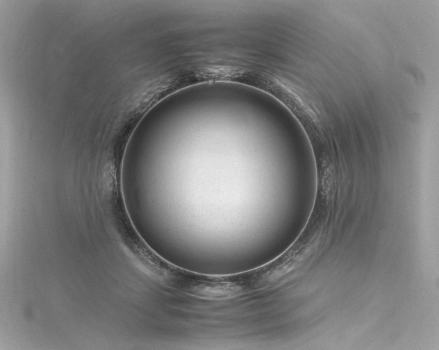 X0000116310459200911301506