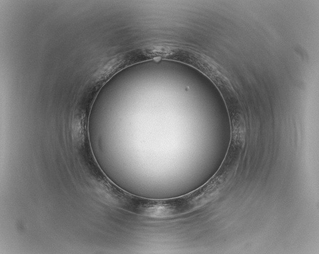 X0000116310460200911301506