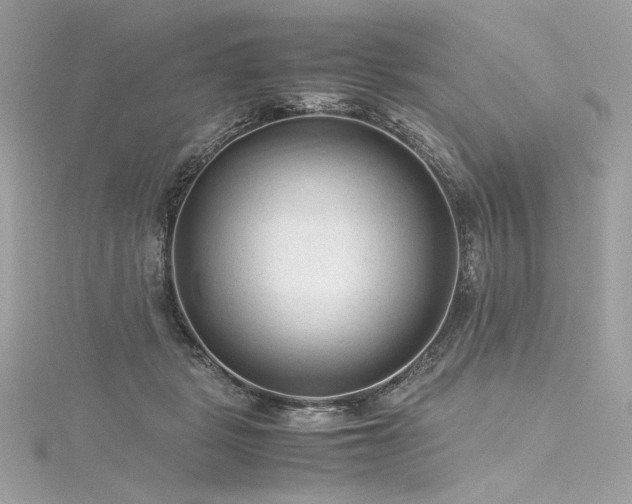 X0000116310461200911301506