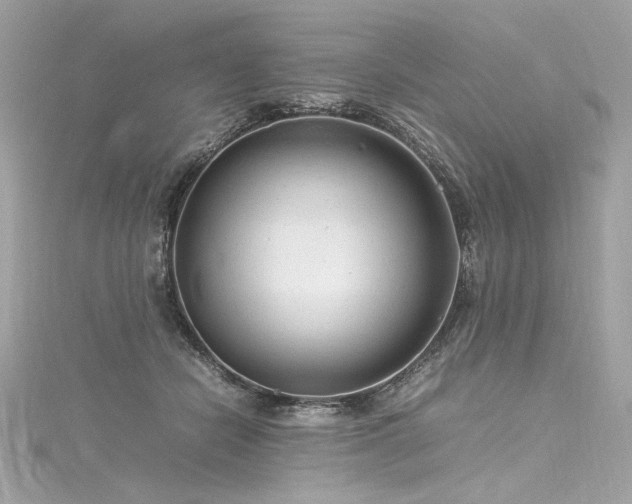 X0000116310462200911301506