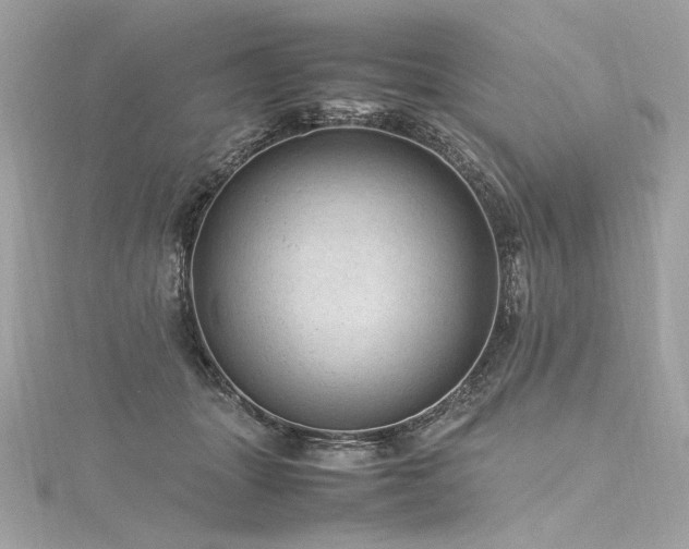 X0000116310463200911301506