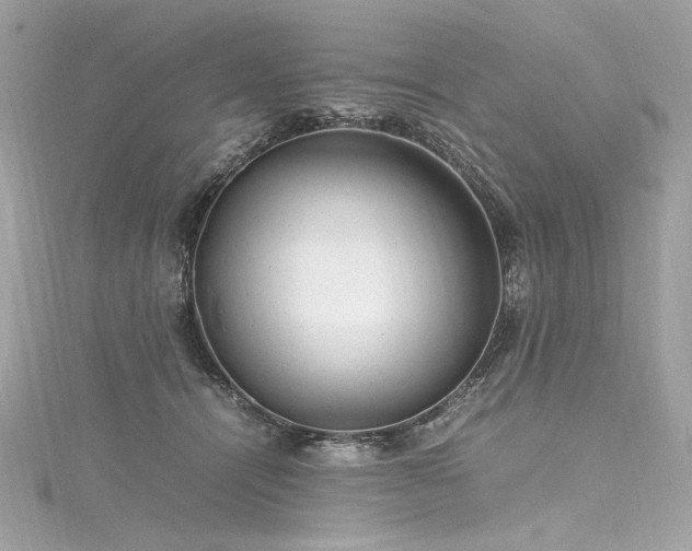 X0000116310464200911301506