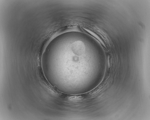 X0000116310465200911301506