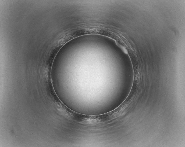 X0000116310466200911301506