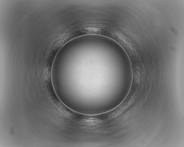 X0000116310467200911301506