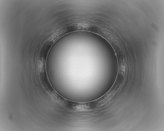 X0000116310468200911301506