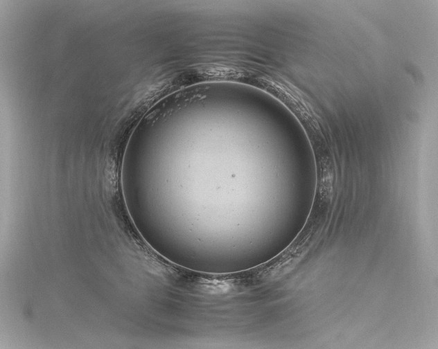 X0000116310469200911301506