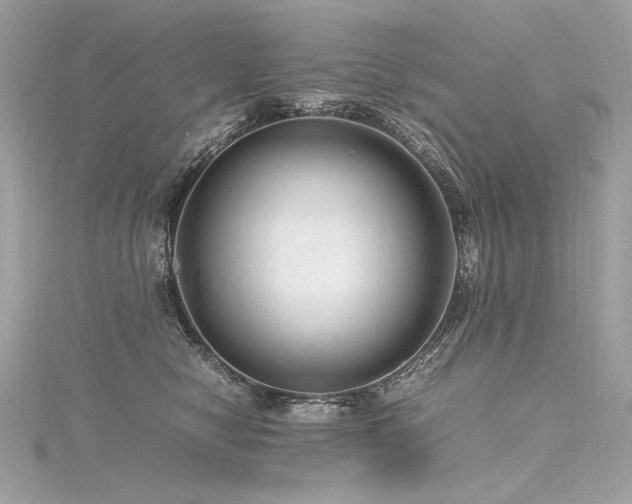 X0000116310470200911301506