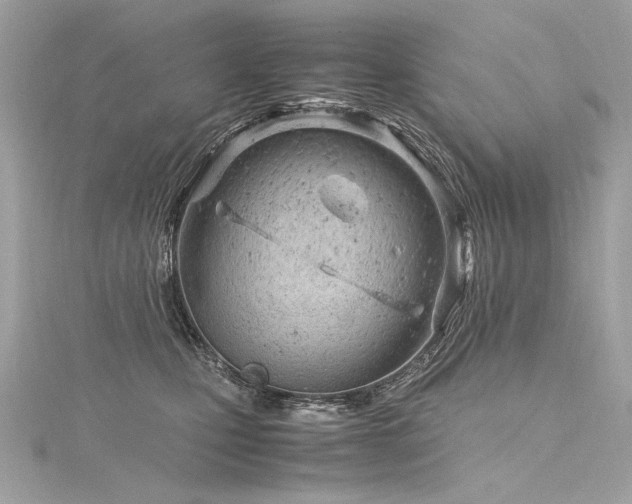 X0000116310471200911301506