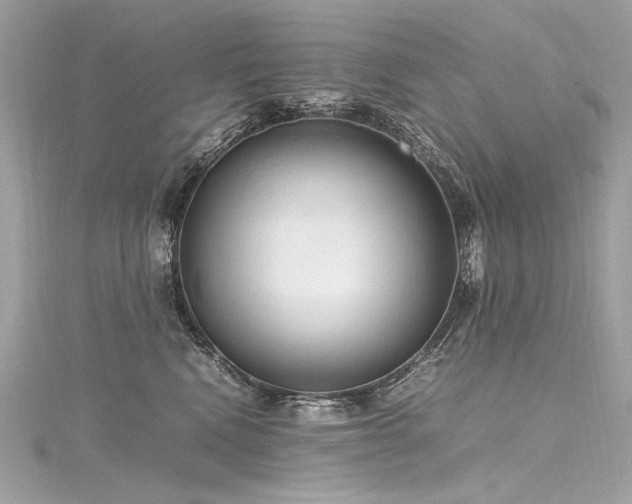 X0000116310472200911301506