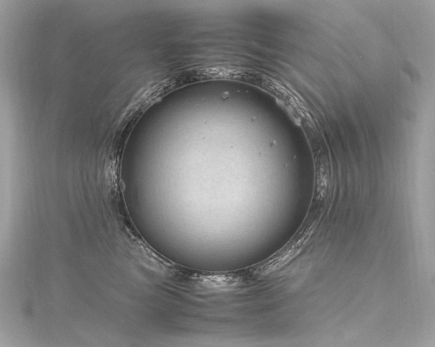 X0000116310473200911301506