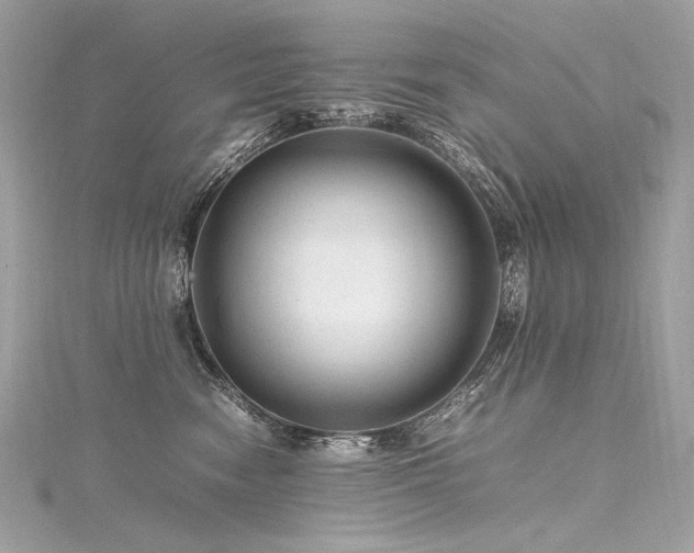 X0000116310474200911301506