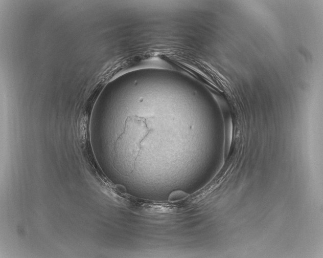 X0000116310475200911301506