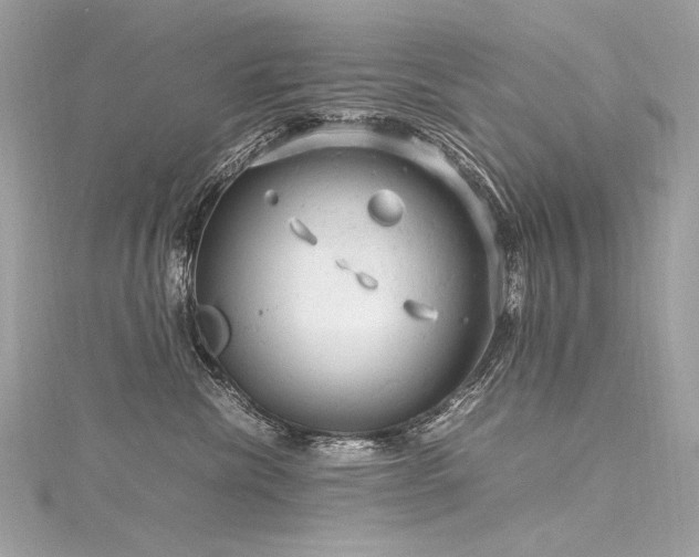 X0000116310476200911301506