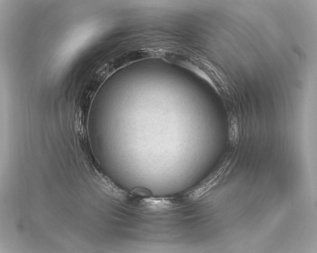 X0000116310477200911301506