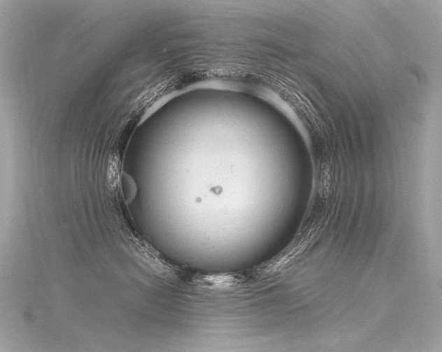 X0000116310478200911301506