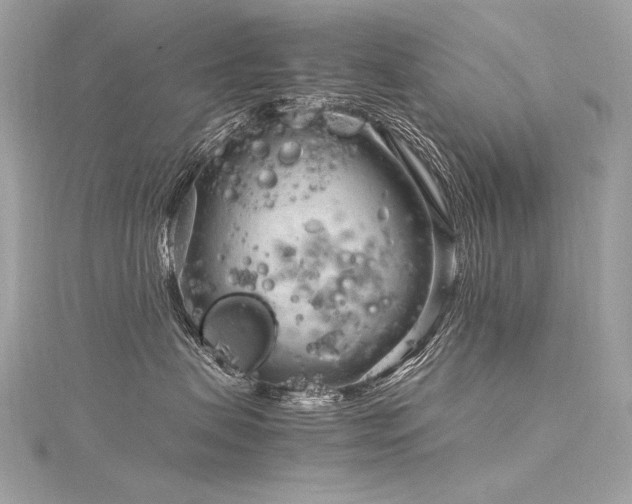 X0000116310479200911301506