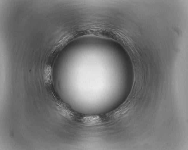 X0000116310480200911301506