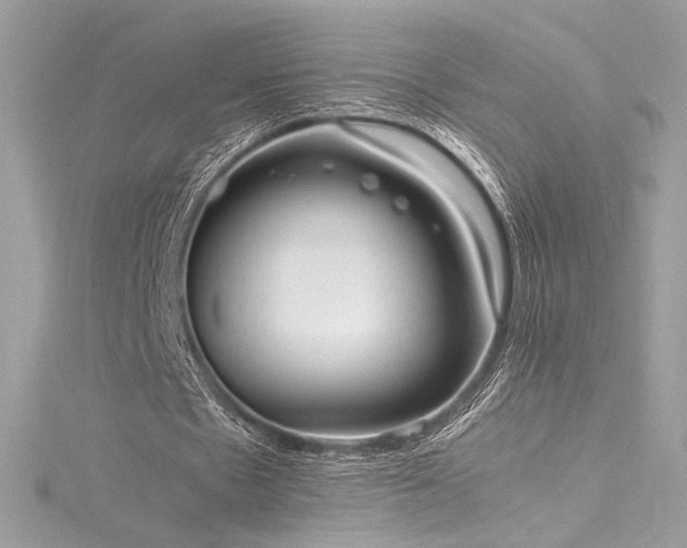 X0000116310481200911301506