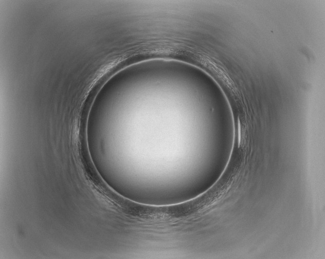 X0000116310483200911301506