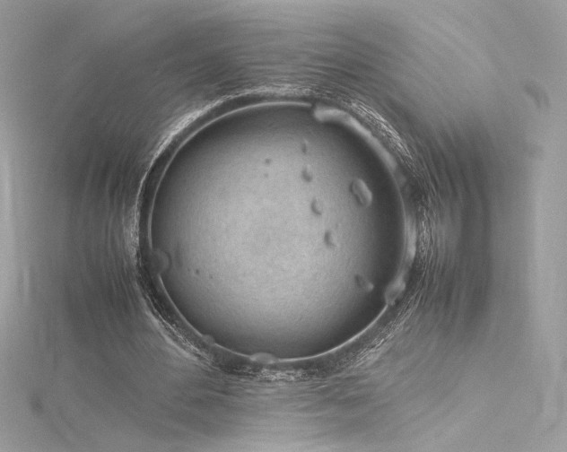 X0000116310484200911301506