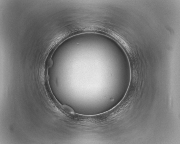 X0000116310485200911301506