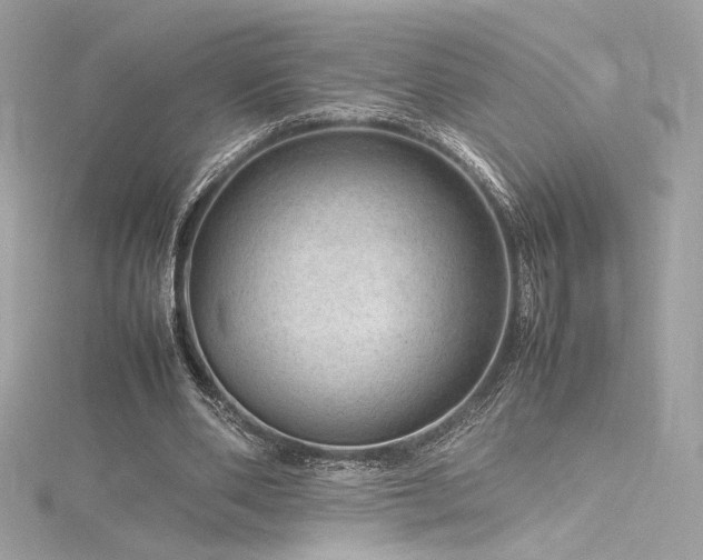 X0000116310486200911301506