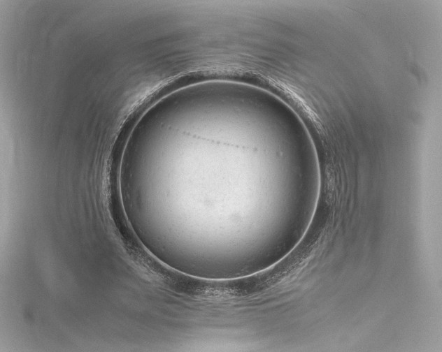 X0000116310487200911301506