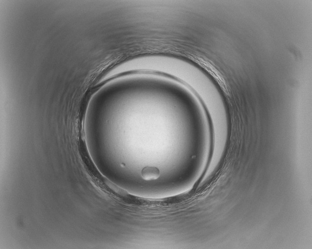 X0000116310489200911301506