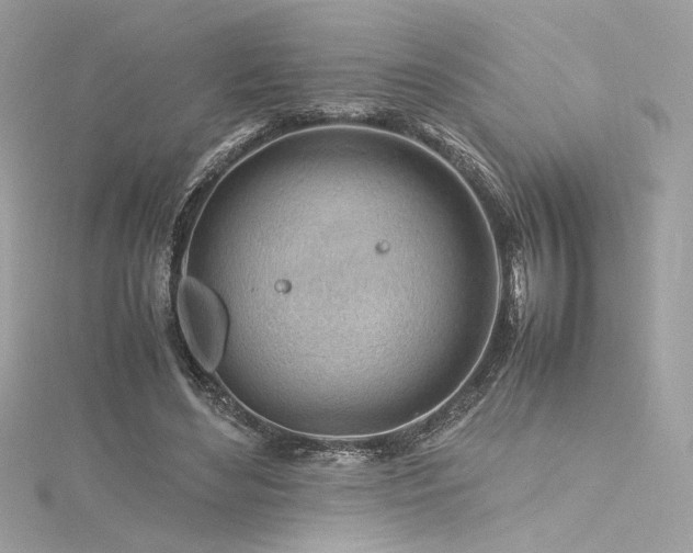 X0000116310492200911301506