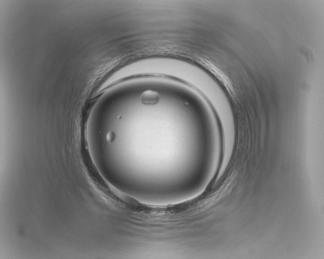 X0000116310493200911301506