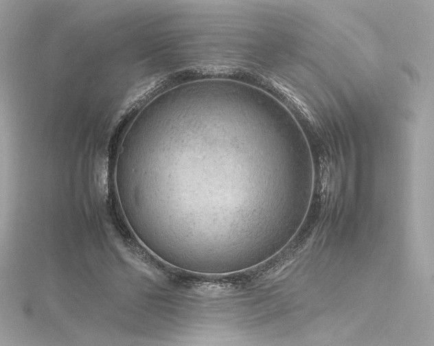 X0000116310494200911301506