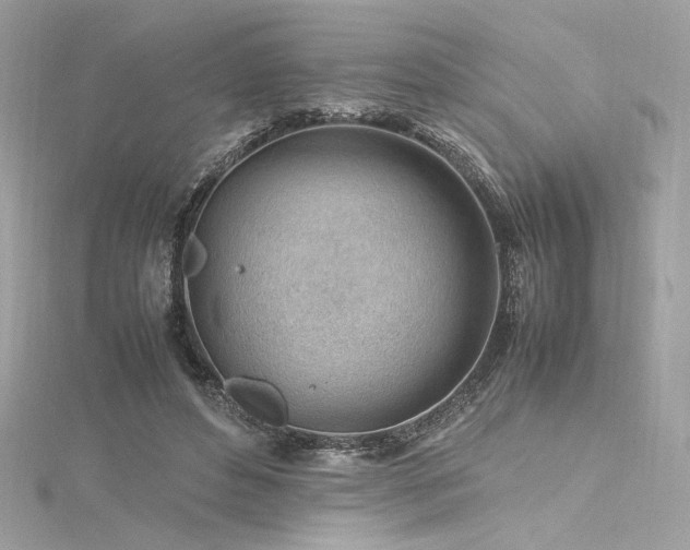 X0000116310496200911301506