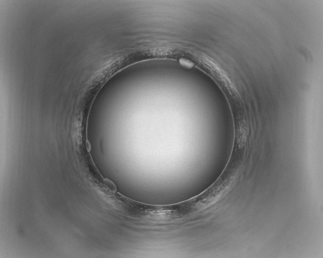 X0000116310497200911301506