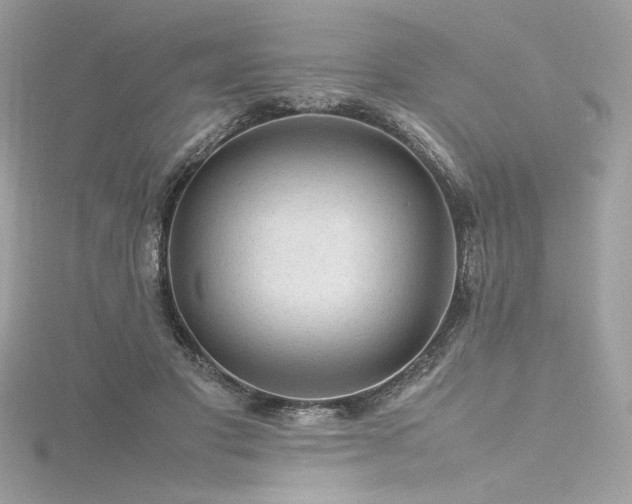 X0000116310501200911301506