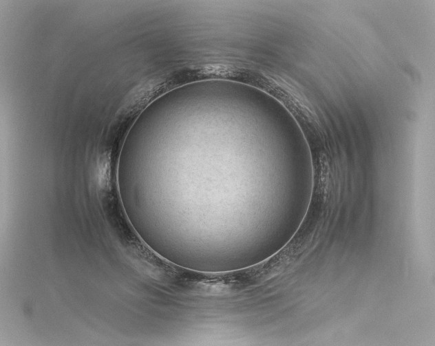 X0000116310502200911301506