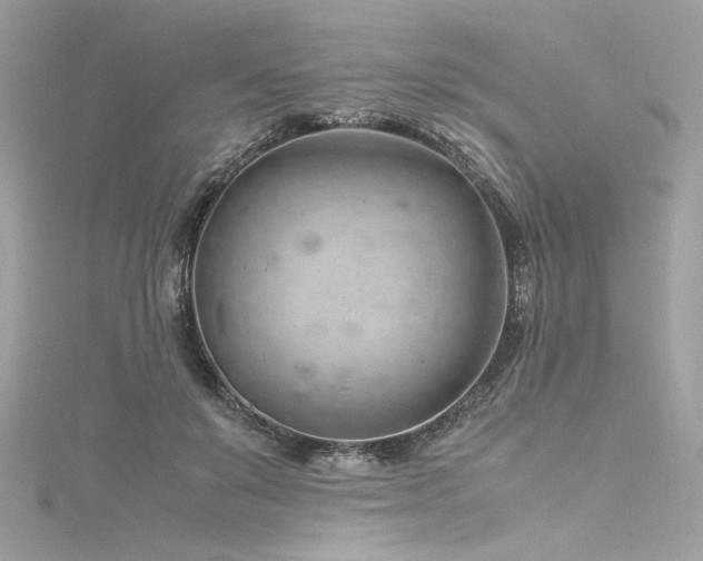 X0000116310503200911301506