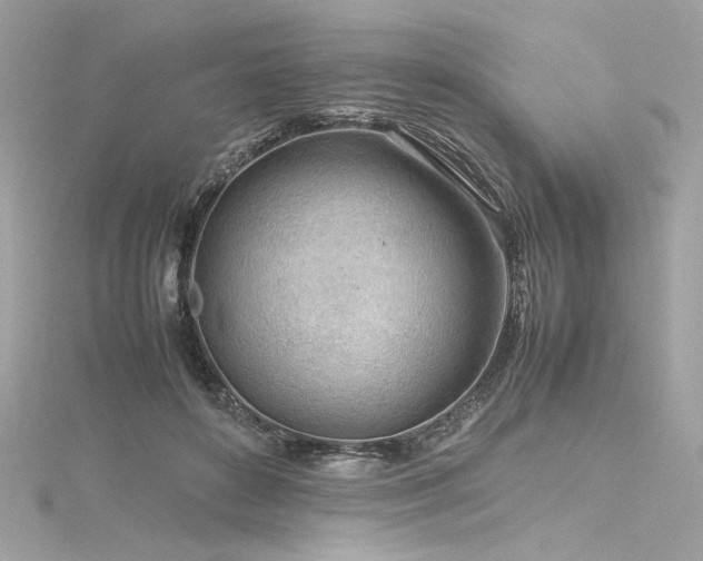 X0000116310504200911301506