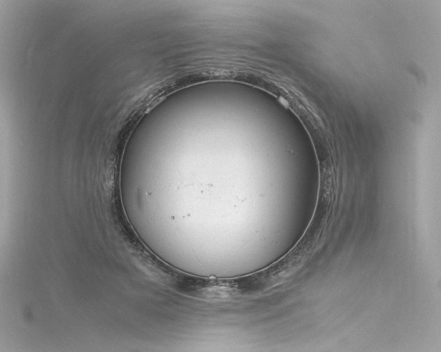 X0000116310505200911301506