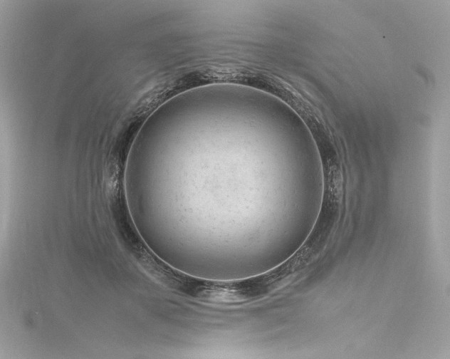 X0000116310507200911301506