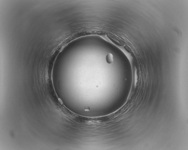 X0000116310508200911301506