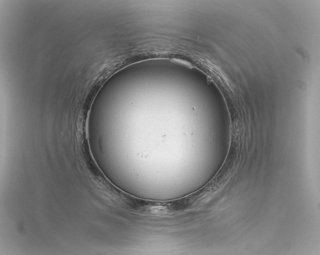 X0000116310509200911301505