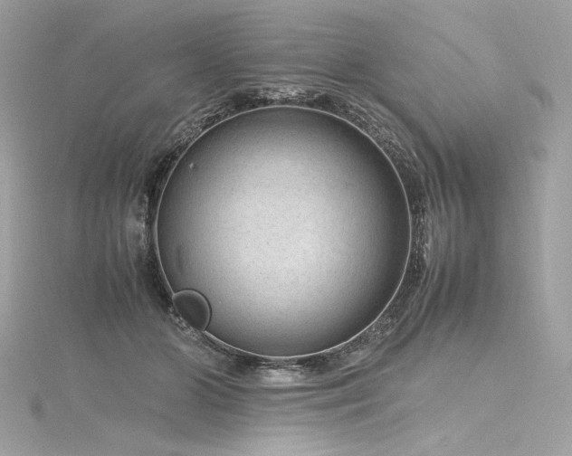 X0000116310510200911301505