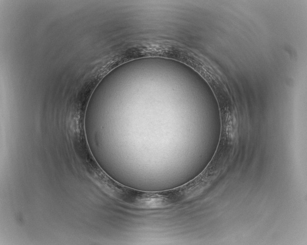 X0000116310514200911301505