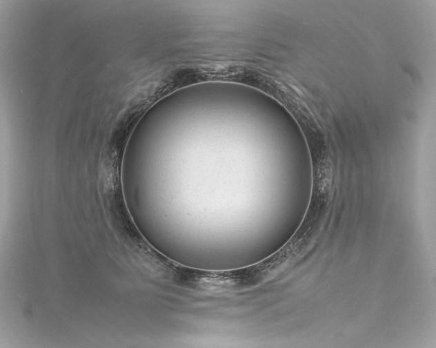 X0000116310515200911301505