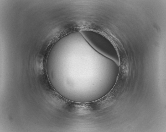 X0000116310516200911301505